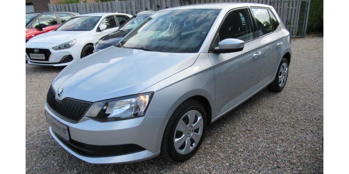 Skoda Fabia 64.000 km 7.950 &euro; Gettorf 24214