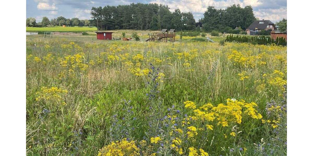 Grundstück Soltendieck - 75.000&euro; | Angebot:25670762