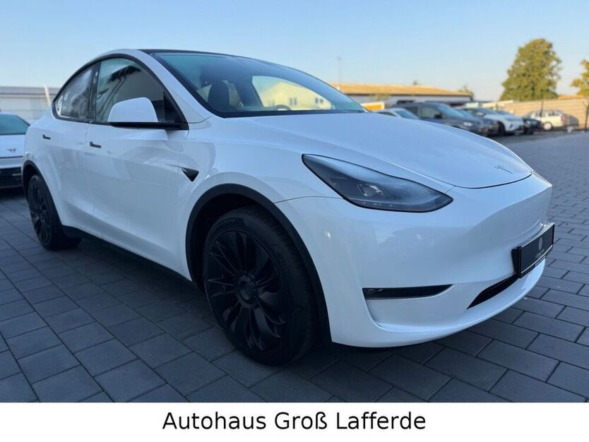 Model Y