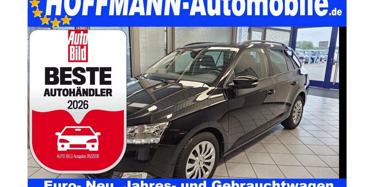 Skoda Fabia 38.495 km 16.800 &euro; Wolfsburg-Heiligendorf 38444