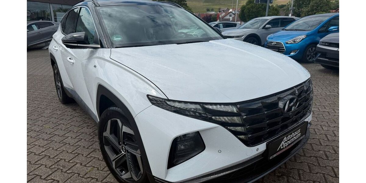 Hyundai TUCSON 101.250 km 22.849 &euro; Oppenheim 55276