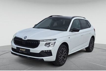 Skoda Kamiq 24.375 km 27.480 &euro; Darmstadt 64295