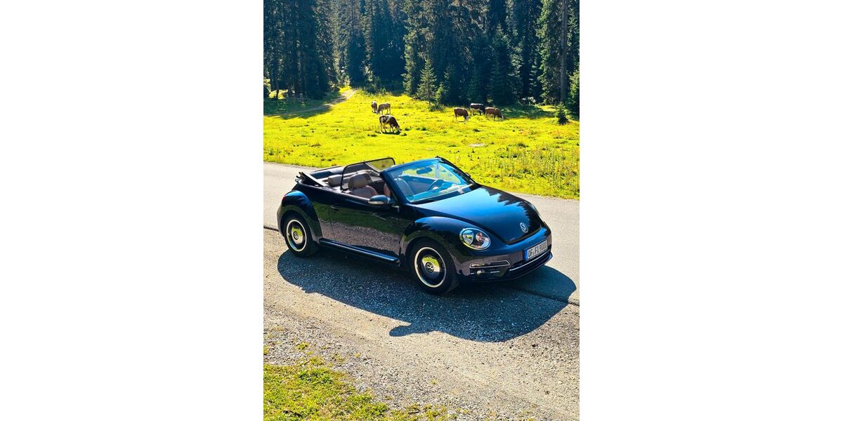 VW Beetle 55.642 km 21.500 &euro; Egelsbach 63329