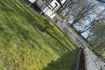 Etagenwohnung Neukirchen-Vluyn Vluyn - 3.5 Zimmer, 78 m&sup2;, 185.000&euro; | Angebot:26180549
