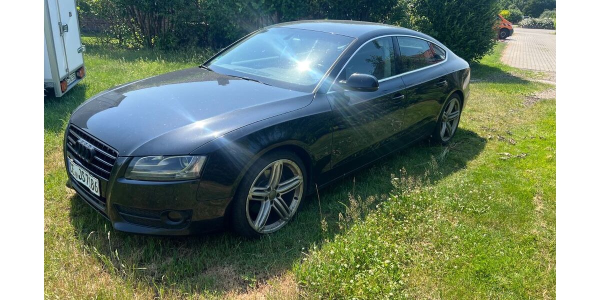 Audi A5 330.000 km 5.990 &euro; Winsen 29308