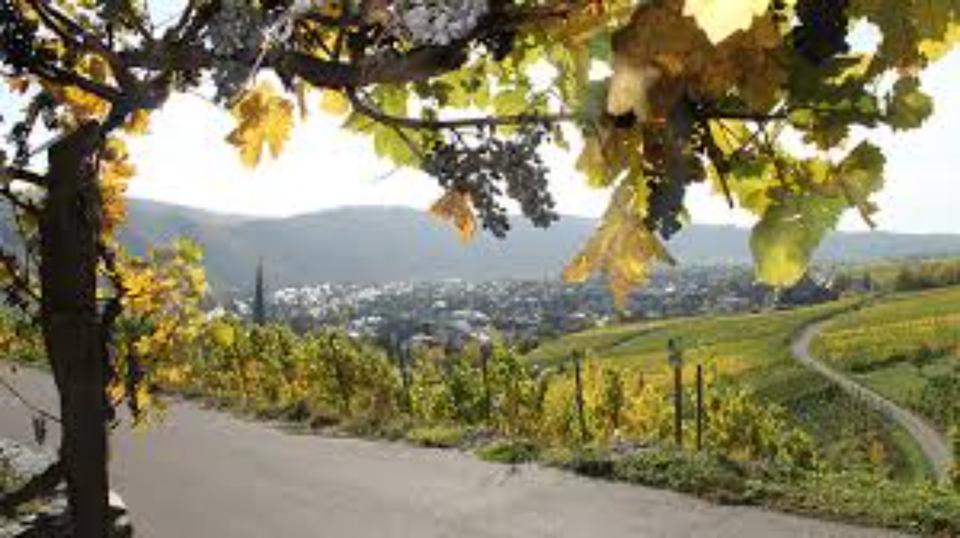 Einfamilienhaus Kröv - 4.5 Zimmer, 90 m&sup2;, 1.300&euro; | Angebot:24908874