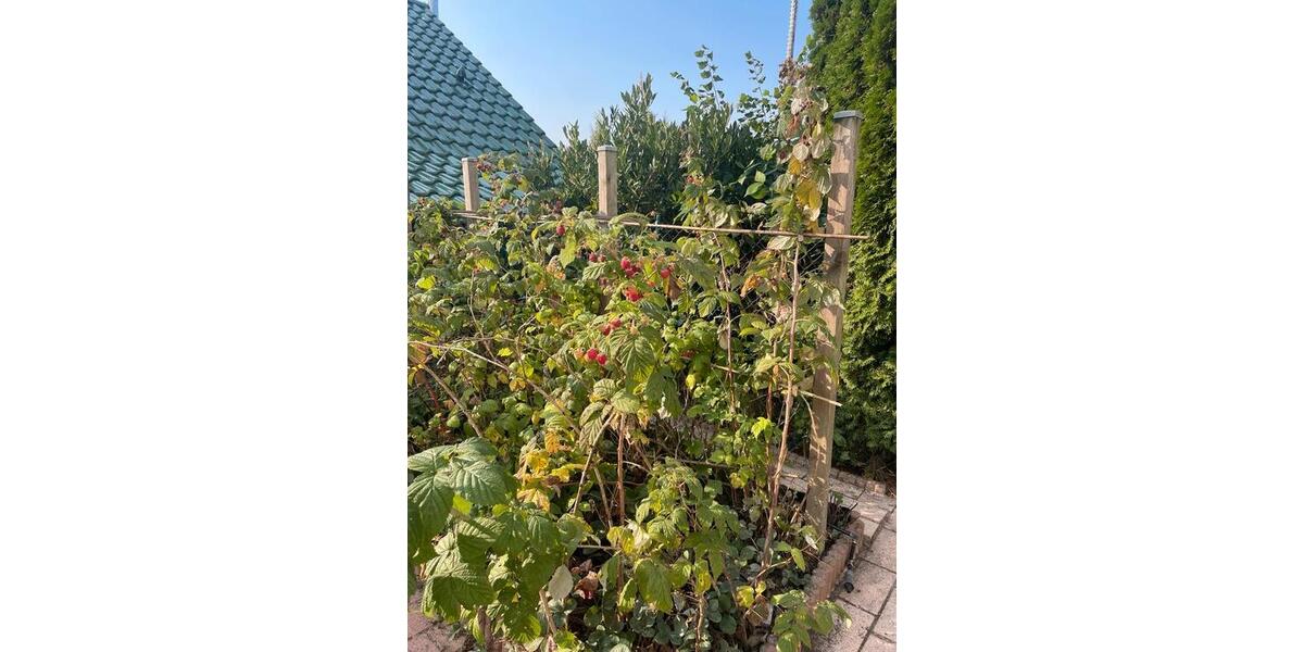 Einfamilienhaus Bad Sachsa - 5 Zimmer, 128 m&sup2;, 260.000&euro; | Angebot:26652839