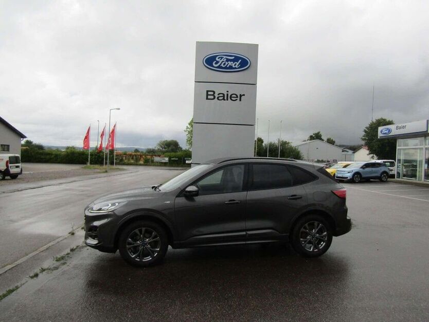 Kuga