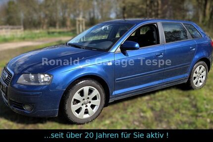 Audi A3 187.400 km 4.000 &euro; Tespe 21395