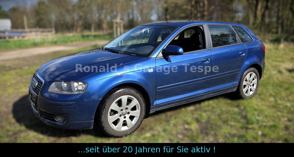 Audi A3 187.400 km 4.000 &euro; Tespe 21395