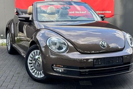 VW Beetle
