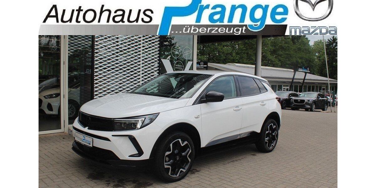 Opel Grandland (X) 24.031 km 22.885 &euro; Hilter 49176