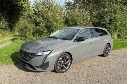 Peugeot 308 189.778 km 12.100 &euro; Dätgen 24589