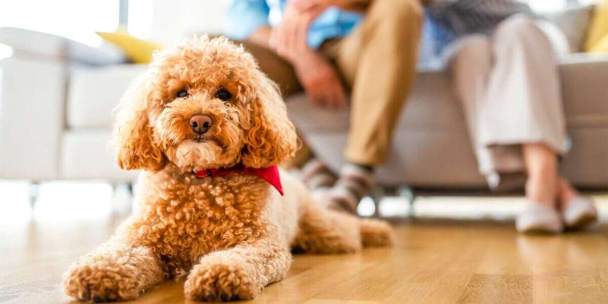 Wohnung zum Kaufen in Eltville am Rhein 475.900 € 62.06 m² 2 zimmer