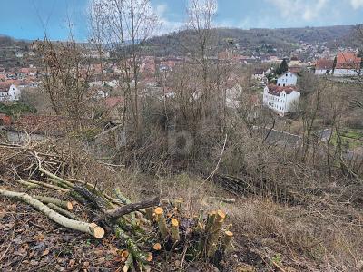 EXKLUSIVES GRUNDSTÜCK IN BESTER LAGE - Grundstück Schmalkalden | Angebot:26176241