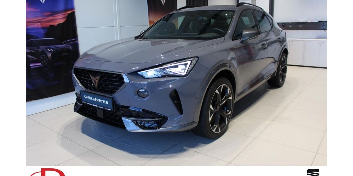 Cupra Formentor 60.200 km 30.780 &euro; Balingen 72336