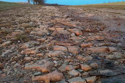 Haus Bad Bibra - 4 Zimmer, 90 m&sup2;, 500&euro; | Angebot:25791423