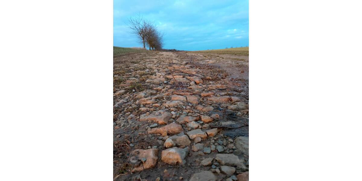 Mehrfamilienhaus, Wohnhaus Bad Bibra - 4 Zimmer, 90 m&sup2;, 500&euro; | Angebot:25791423