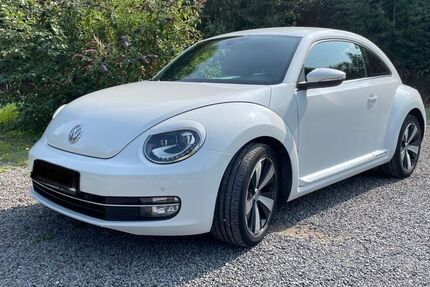 VW Beetle
