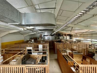 PROJEKTENTWICKLUNG AUF DER HAID - Gewerbeobjekt Freiburg im Breisgau Haslach | Angebot:27337601