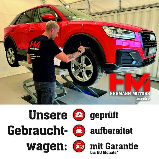 VW Polo 119.100 km 1.890 € Werdau OT Steinpleis 08412