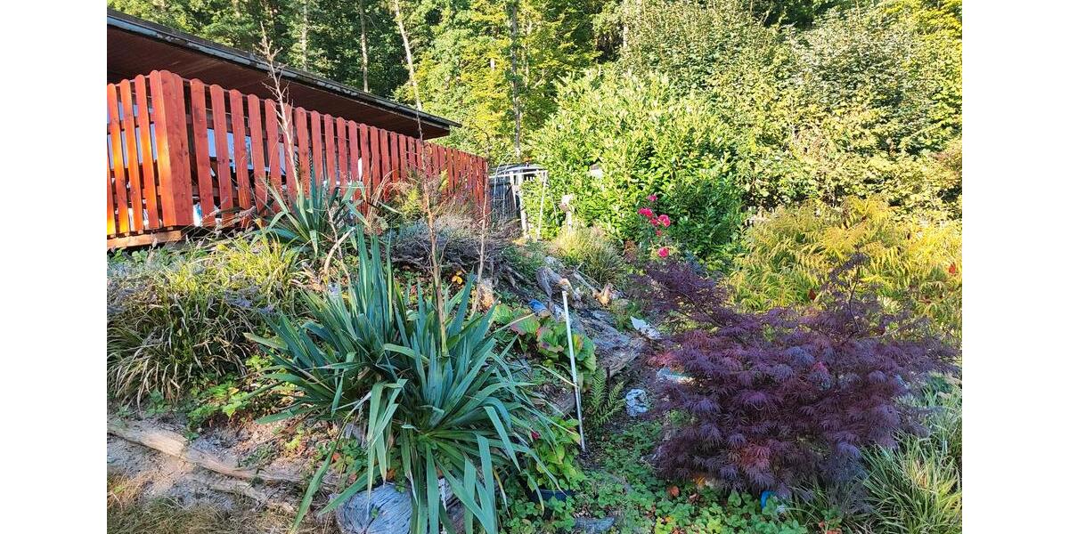 Grundstück Königsee - 9.000&euro; | Angebot:25627076