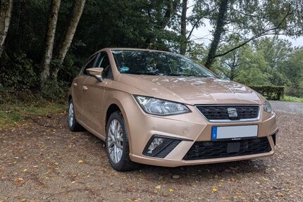 Seat Ibiza 148.000 km 10.800 € Gorxheimertal 69517