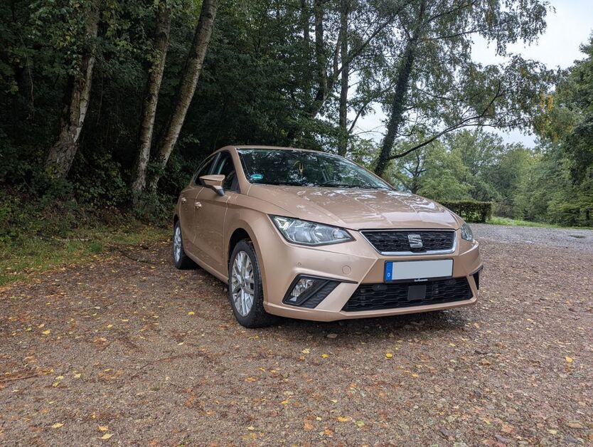 Seat Ibiza 148.000 km 10.800 € Gorxheimertal 69517