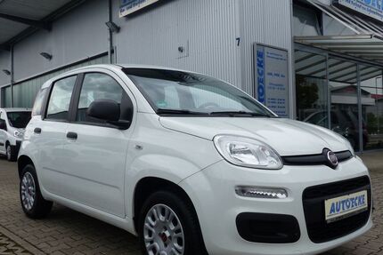 Fiat Panda 66.000 km 7.990 € Hockenheim 68766