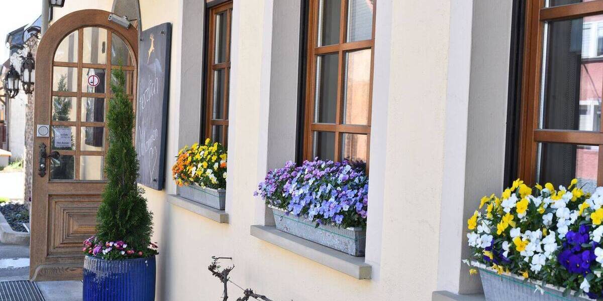 Gewerbeobjekt Martinstein - 1 Zimmer, 500 m&sup2;, 425.000&euro; | Angebot:26360009