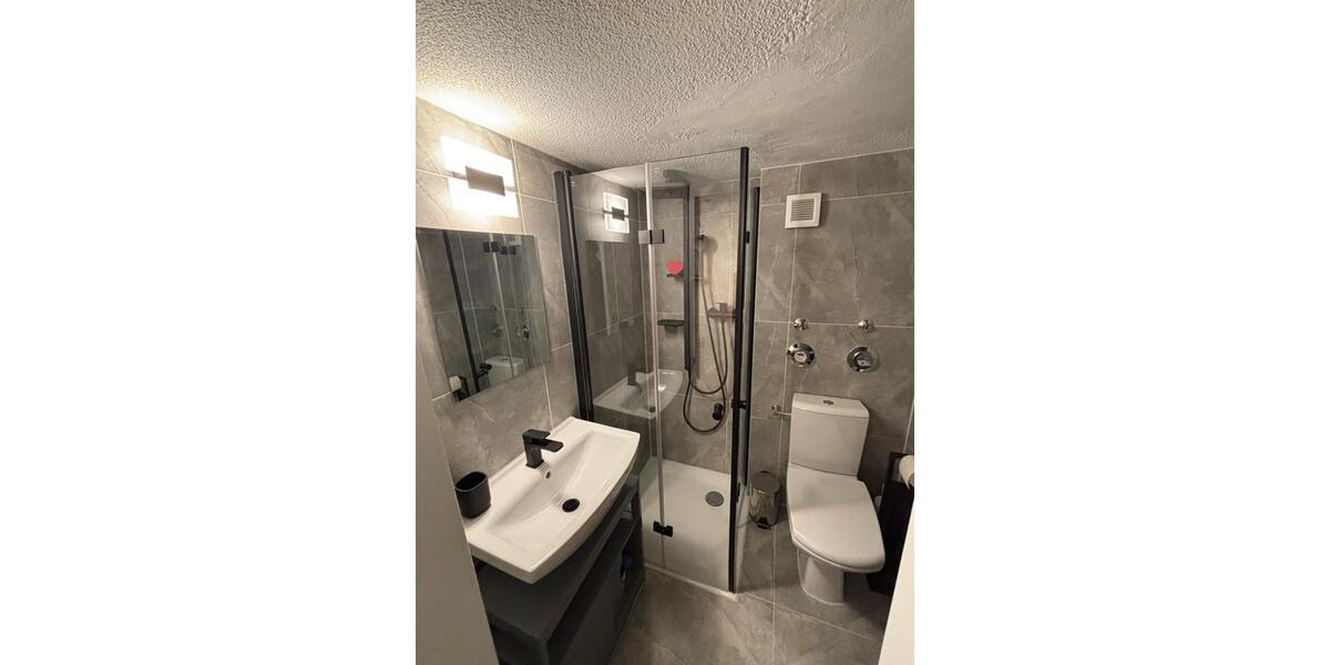 Dachgeschoßwohnung Freiburg im Breisgau - 1 Zimmer, 28 m&sup2;, 999&euro; | Angebot:24868663