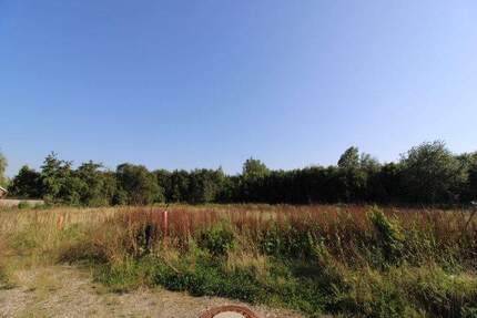 Grundstück Butjadingen / Eckwarden Stollhamm - 89.000&euro; | Angebot:24034289