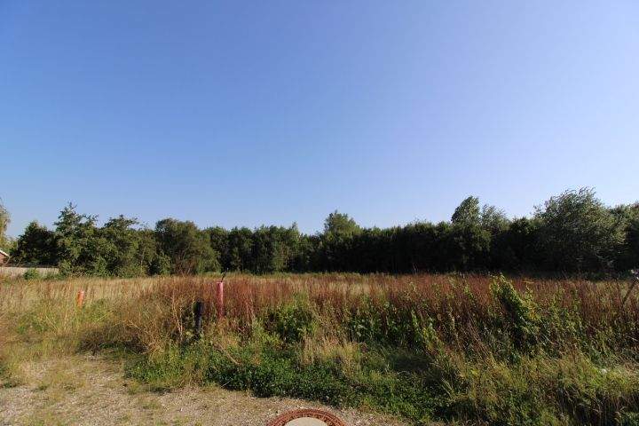 Grundstück Butjadingen / Eckwarden Stollhamm - 89.000&euro; | Angebot:24034289