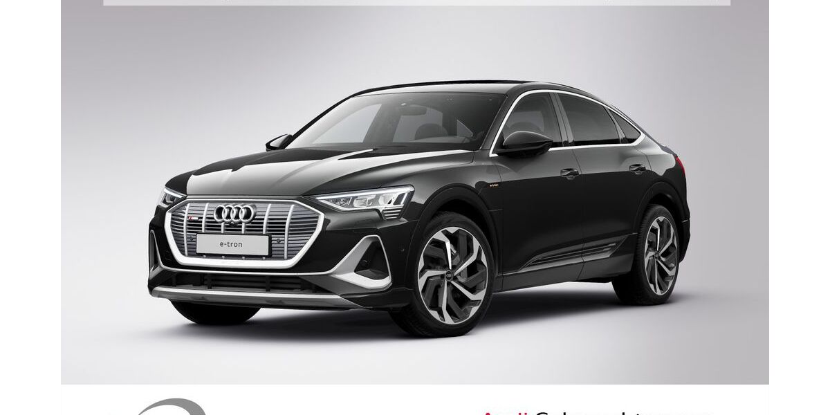 Audi e-tron 45.555 km 27.900 &euro; Ludwigshafen 67063