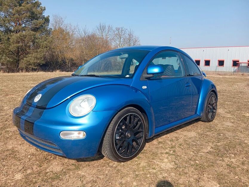 Beetle