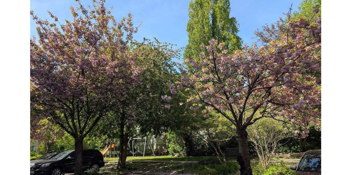 Hell & Renoviert! 3 Zimmer + Esszimmer, Vinyl-Boden, Tageslichtbad + 2 Abstellräume + gute Lage 3 zimmer