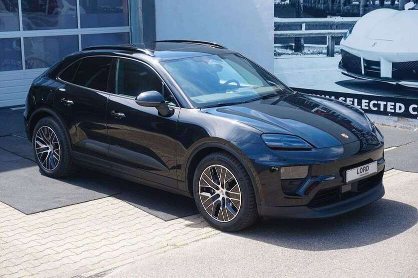 Macan