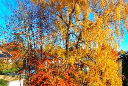 Wohnung zum Kaufen in Kirchseeon 349.500 € 74 m² 3 zimmer