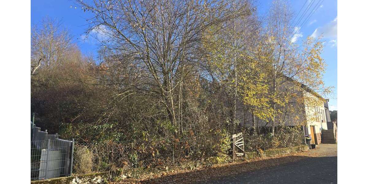 Grundstück Lebach - 70.000&euro; | Angebot:24728096