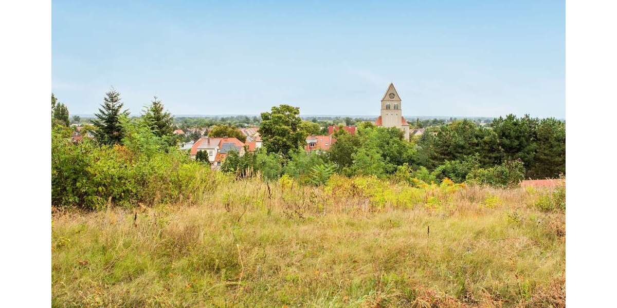 Grundstück Wriezen - 69.000&euro; | Angebot:26395322