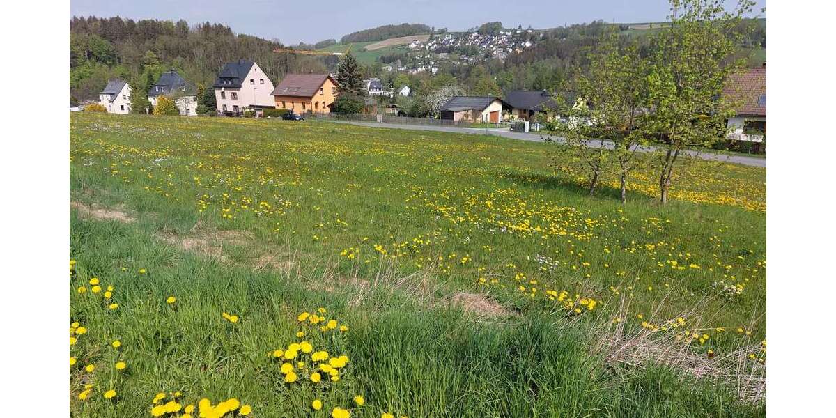 Bauen, wo andere spazieren gehen - Grundstück Burkhardtsdorf-Kemtau Kemtau | Angebot:21212650