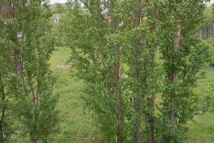 Grundstück in Hannover - Laatzen 1.197.000 € 3000 m² zimmer