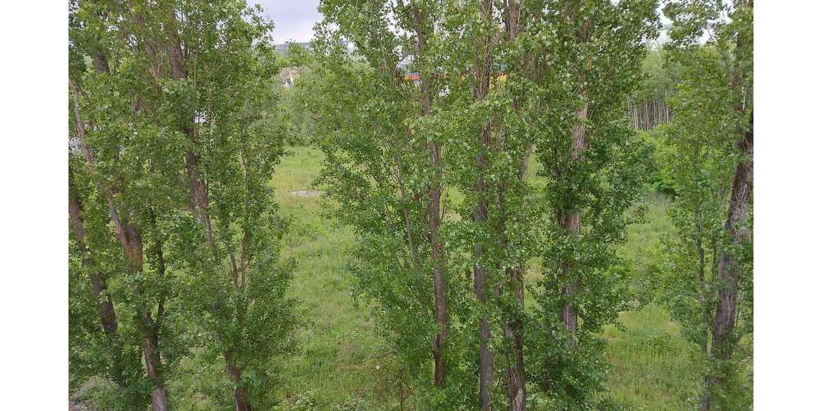 Grundstück in Hannover - Laatzen 1.197.000 € 3000 m² zimmer