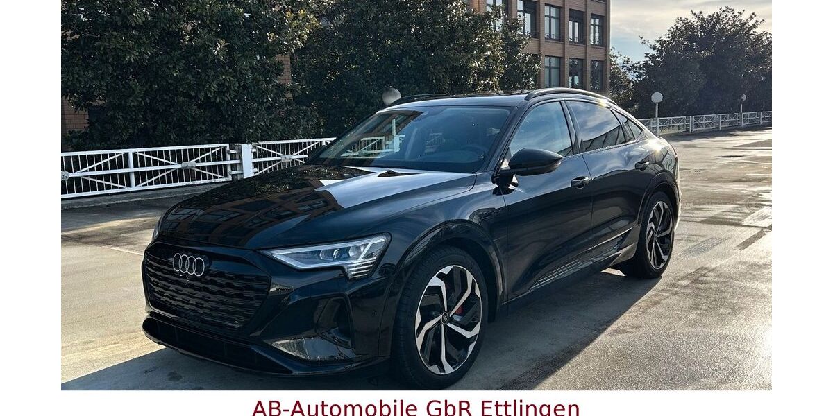 Audi Q8 21.514 km 58.900 &euro; Ettlingen 76275