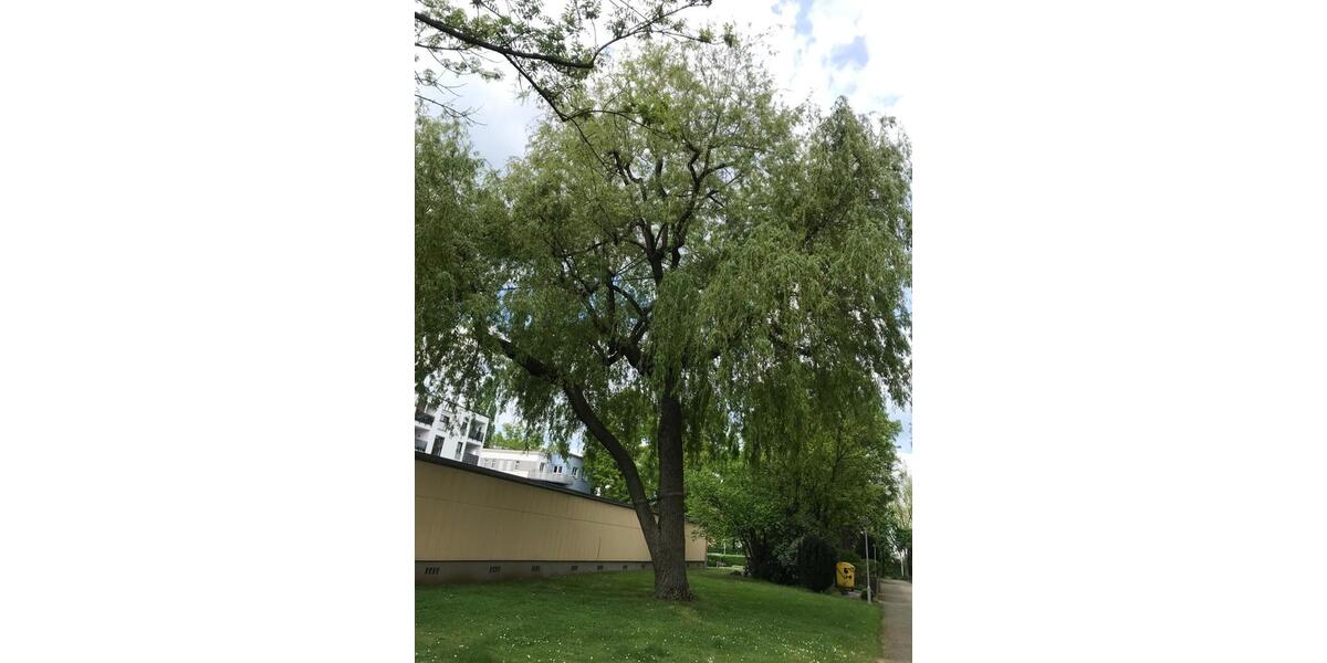 Mehrfamilienhaus, Wohnhaus Nürnberg Erlenstegen - 3 Zimmer, 77 m&sup2;, 230.000&euro; | Angebot:27226591