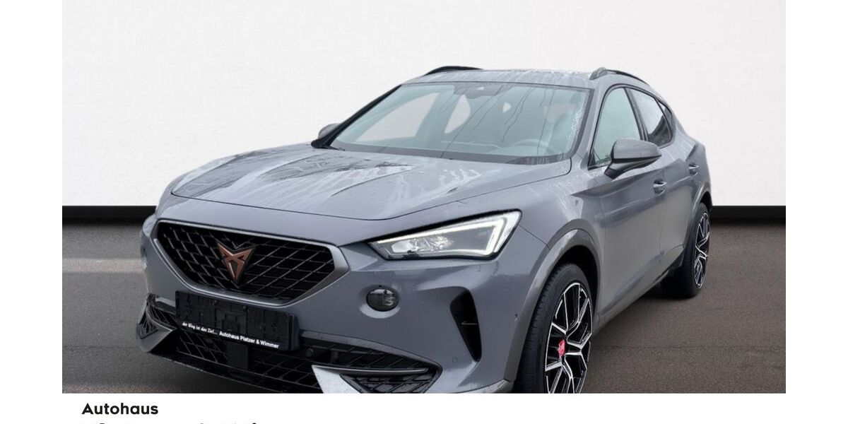 Cupra Formentor 65.262 km 30.990 &euro; Hutthurm 94116