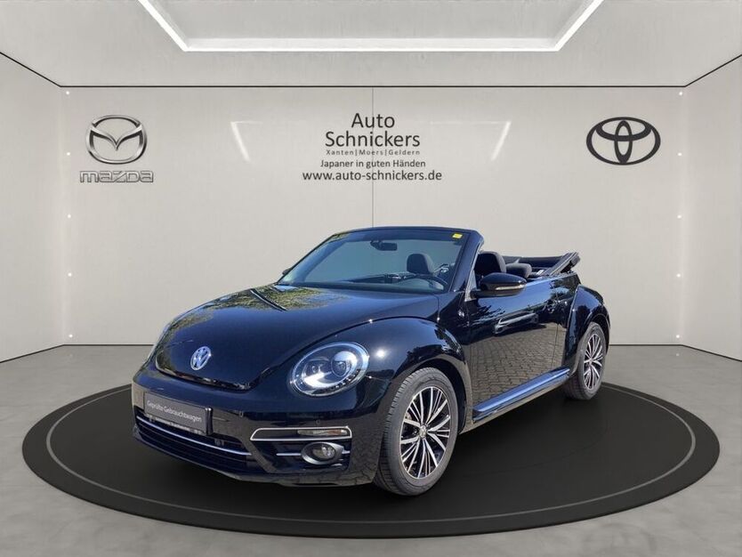 Beetle