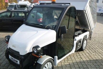 Ligier Andere 150 km 15.990 &euro; Niederviehbach 84183