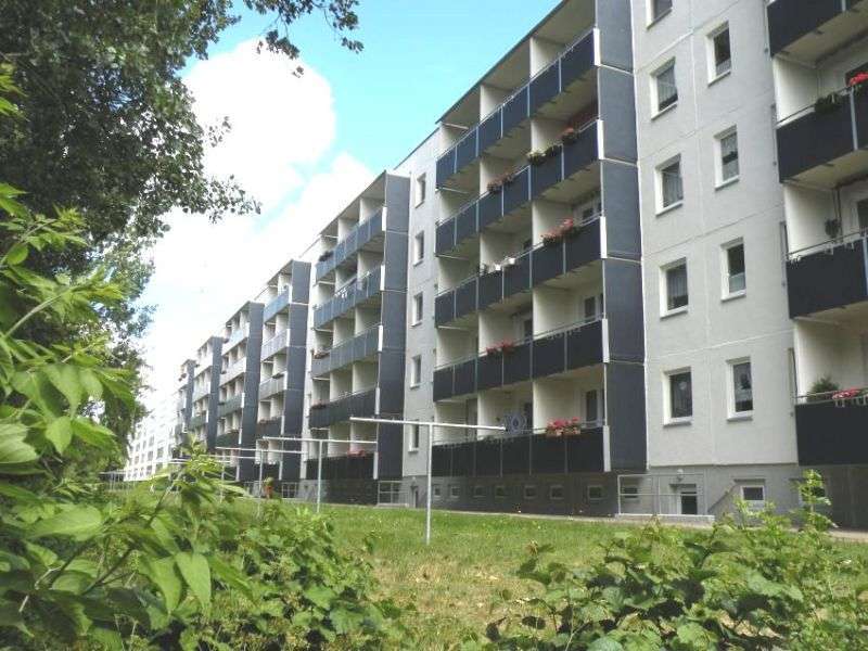 Wohnung zum Mieten in Stralsund 288,64 € 43.08 m² 2 zimmer