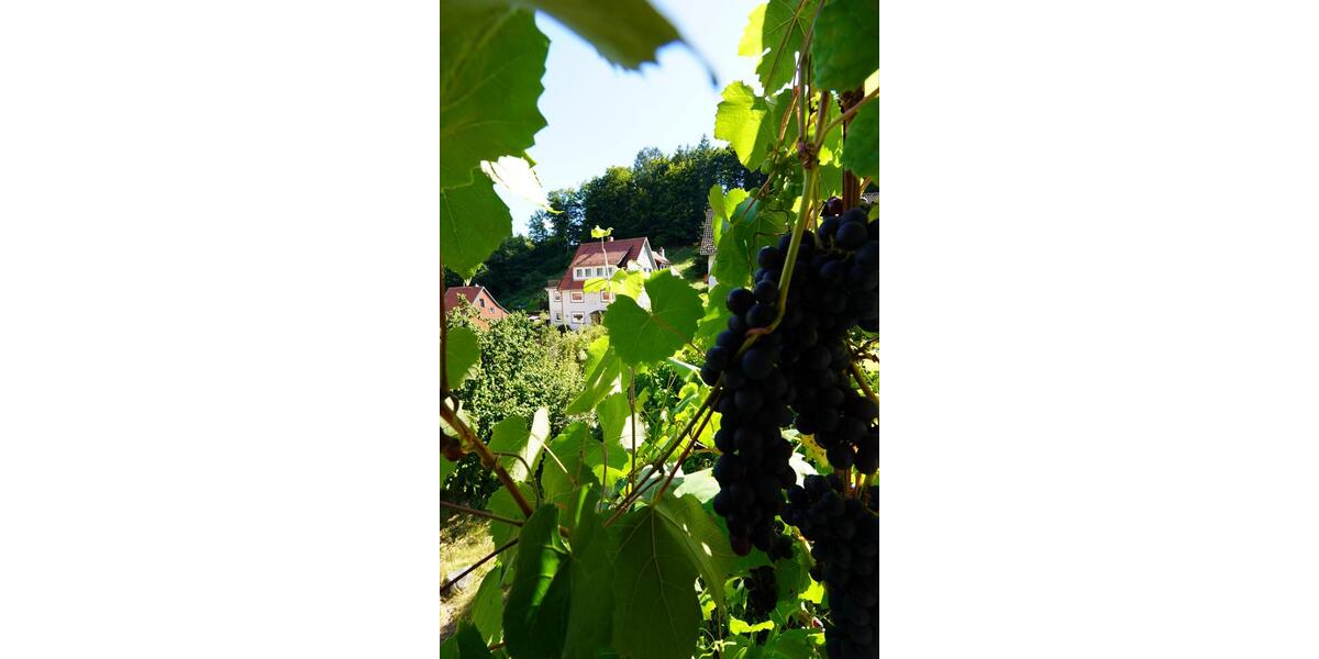 Einfamilienhaus Bad Grund (Harz) - 6 Zimmer, 176 m&sup2;, 246.500&euro; | Angebot:23554863